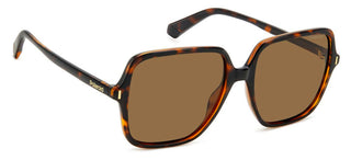 Polaroid PLD 6219/S women Havana Oversize Sunglasses