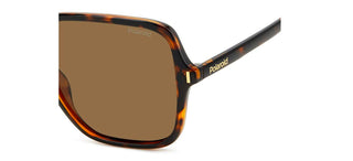 Polaroid PLD 6219/S women Havana Oversize Sunglasses
