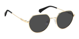Polaroid Pld 6236/s/x Unisex Black Geometric Sunglasses