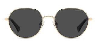 Polaroid Pld 6236/s/x Unisex Black Geometric Sunglasses