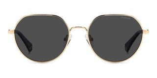 Polaroid Pld 6236/s/x Unisex Black Geometric Sunglasses