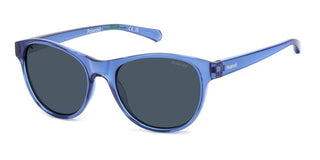 Polaroid Pld 8066/s Unisex Blue Geometric Sunglasses