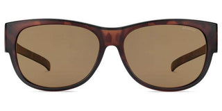 Polaroid PLD 9004/S unisex Havana Rectangle Sunglasses