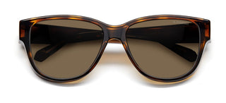 Polaroid PLD 9013 women Brown Butterfly Sunglasses