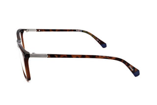 Polaroid PLD D430 men Havana Rectangle Eyeglasses