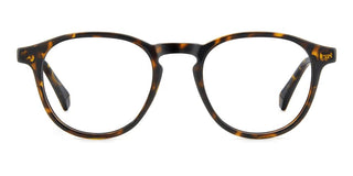 Polaroid PLD D561 men Havana Rectangle Eyeglasses