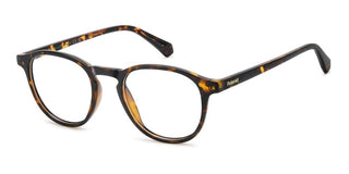 Polaroid PLD D561 men Havana Rectangle Eyeglasses