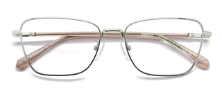 Polaroid Pld D581/g Women Silver Cat Eye Eyeglasses