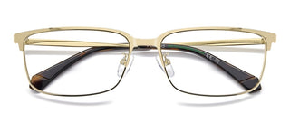Polaroid Pld D583/g Men Gold Rectangle Eyeglasses