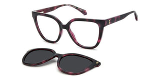 Polaroid PLD D596/C women 0 Cat Eye Sunglasses