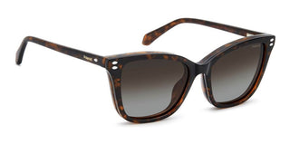 Polaroid PLD D603/C women Havana Cat Eye Sunglasses
