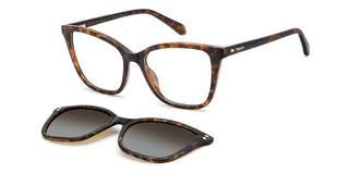 Polaroid PLD D603/C women Havana Cat Eye Sunglasses