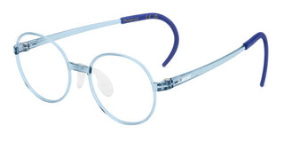 Polaroid Pld D842 Unisex Blue Round Eyeglasses