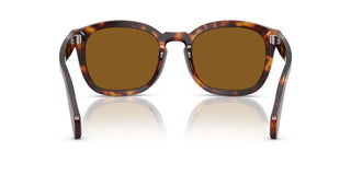 Persol Po 0082s Unisex Havana Squared Sunglasses