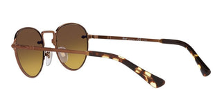 Persol PO 2491S unisex Brown Round Sunglasses