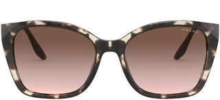 Prada PRADA CINÉMA EVOLUTION PR 12XS women Havana Butterfly Sunglasses
