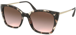 Prada PRADA CINÉMA EVOLUTION PR 12XS women Havana Butterfly Sunglasses