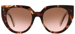 Prada PRADA MONOCHROME PR 14WS women Havana Cat Eye Sunglasses