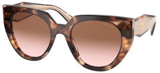 Prada PRADA MONOCHROME PR 14WS women Havana Cat Eye Sunglasses