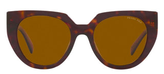 Prada PRADA MONOCHROME PR 14WS women Havana Cat Eye Sunglasses