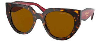 Prada PRADA MONOCHROME PR 14WS women Havana Cat Eye Sunglasses