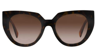 Prada PRADA MONOCHROME PR 14WS women Havana Cat Eye Sunglasses
