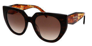 Prada PRADA MONOCHROME PR 14WS women Havana Cat Eye Sunglasses