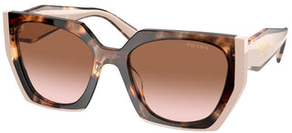 Prada PRADA MONOCHROME PR 15WS women Havana Geometric Sunglasses