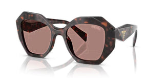 Prada PRADA PR 16WS women Brown Butterfly Sunglasses