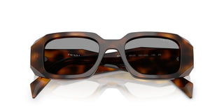 Prada PRADA PR 17WS women Havana Geometric Sunglasses