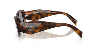 Prada PRADA PR 17WS women Havana Geometric Sunglasses