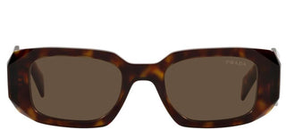 Prada PRADA PR 17WS women Havana Geometric Sunglasses