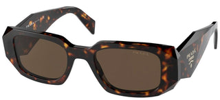 Prada PRADA PR 17WS women Havana Geometric Sunglasses