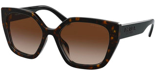 Prada PRADA PR 24XS women Havana Butterfly Sunglasses