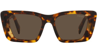 Prada PRADA SYMBOLE PR 08YS women Havana Butterfly Sunglasses