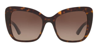 Dolce & Gabbana PRINTED DG 4348 women Havana Butterfly Sunglasses