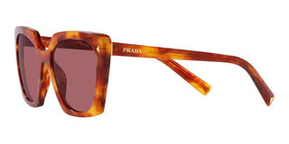 Prada PR 23ZS women Havana Squared Sunglasses