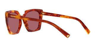 Prada PR 23ZS women Havana Squared Sunglasses