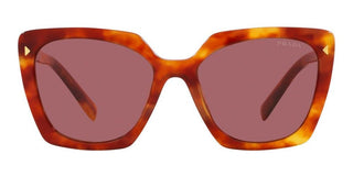 Prada PR 23ZS women Havana Squared Sunglasses