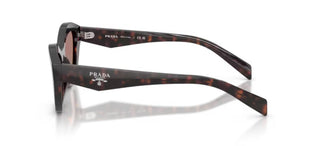 Prada PR A02S women Havana Butterfly Sunglasses