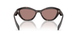 Prada Pr A02s Women Havana Butterfly Sunglasses