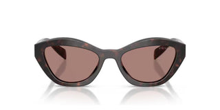 Prada PR A02S women Havana Butterfly Sunglasses