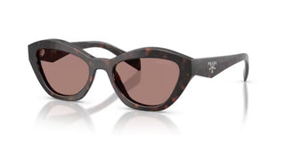 Prada PR A02S women Havana Butterfly Sunglasses