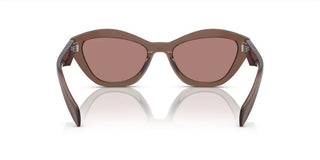 Prada PR A02S women Brown Butterfly Sunglasses