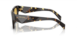 Prada PR A06S men Black Pantos Sunglasses