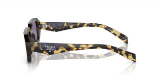 Prada PR A12S women Havana Geometric Sunglasses