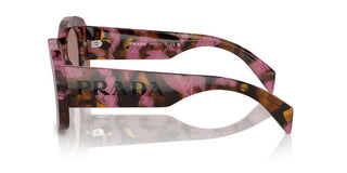Prada Pr A13s Women Brown Butterfly Sunglasses