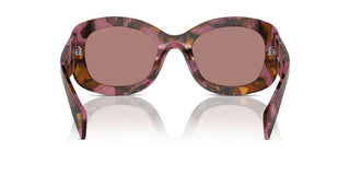 Prada Pr A13s Women Brown Butterfly Sunglasses