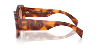 Prada Pr A13s Women Havana Butterfly Sunglasses