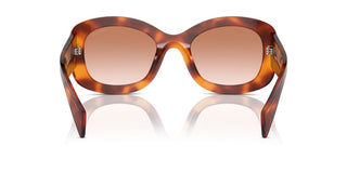 Prada Pr A13s Women Havana Butterfly Sunglasses